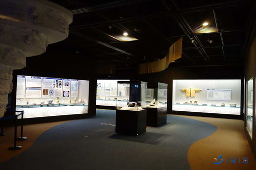 融合創(chuàng)新 數字科技賦能下的主題文化教育新體驗